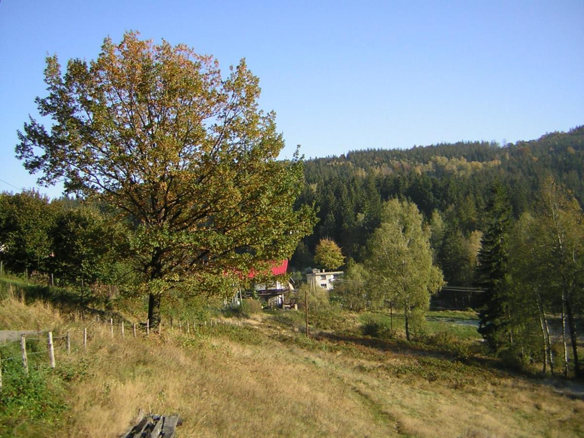 Pokoje Goscinne Angelika Wisła Eksteriør bilde